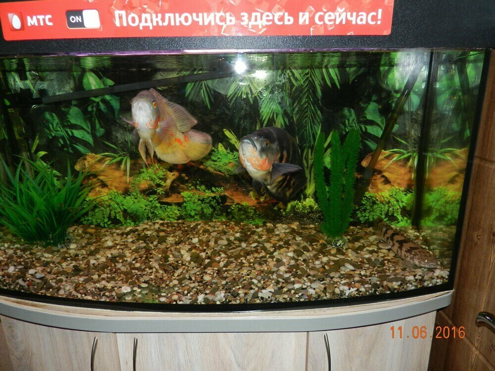 Гостиница Боярд Уссурийск-27